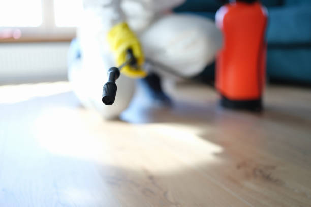 Best Industrial Mold Remediation  in Valinda, CA